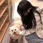 4399魔灵兵团游戏下载